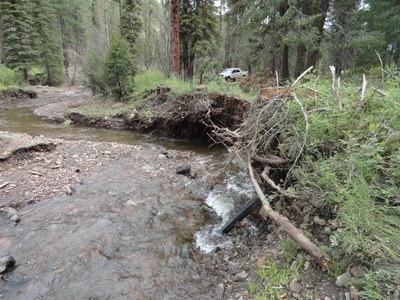 Courtesy of NM State Forestry. Photo by Doug Boykin.