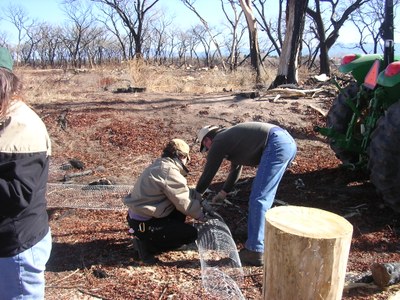 Courtesy of New Mexico State Forestry.