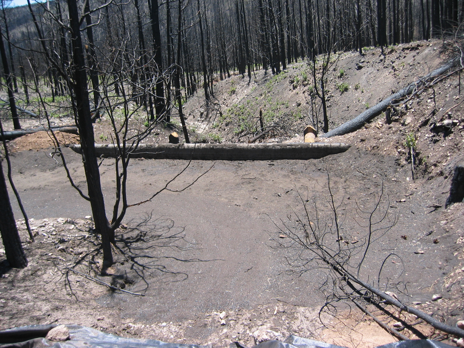 debris basin post fire