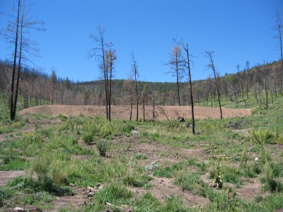 debris basin 2