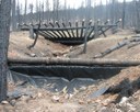 debris rack post fire