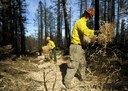 hand application dry mulch