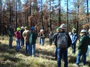 Courtesy of New Mexico State Forestry.