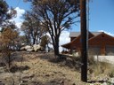 Courtesy of NM State Forestry. Photo by Frank Silva.