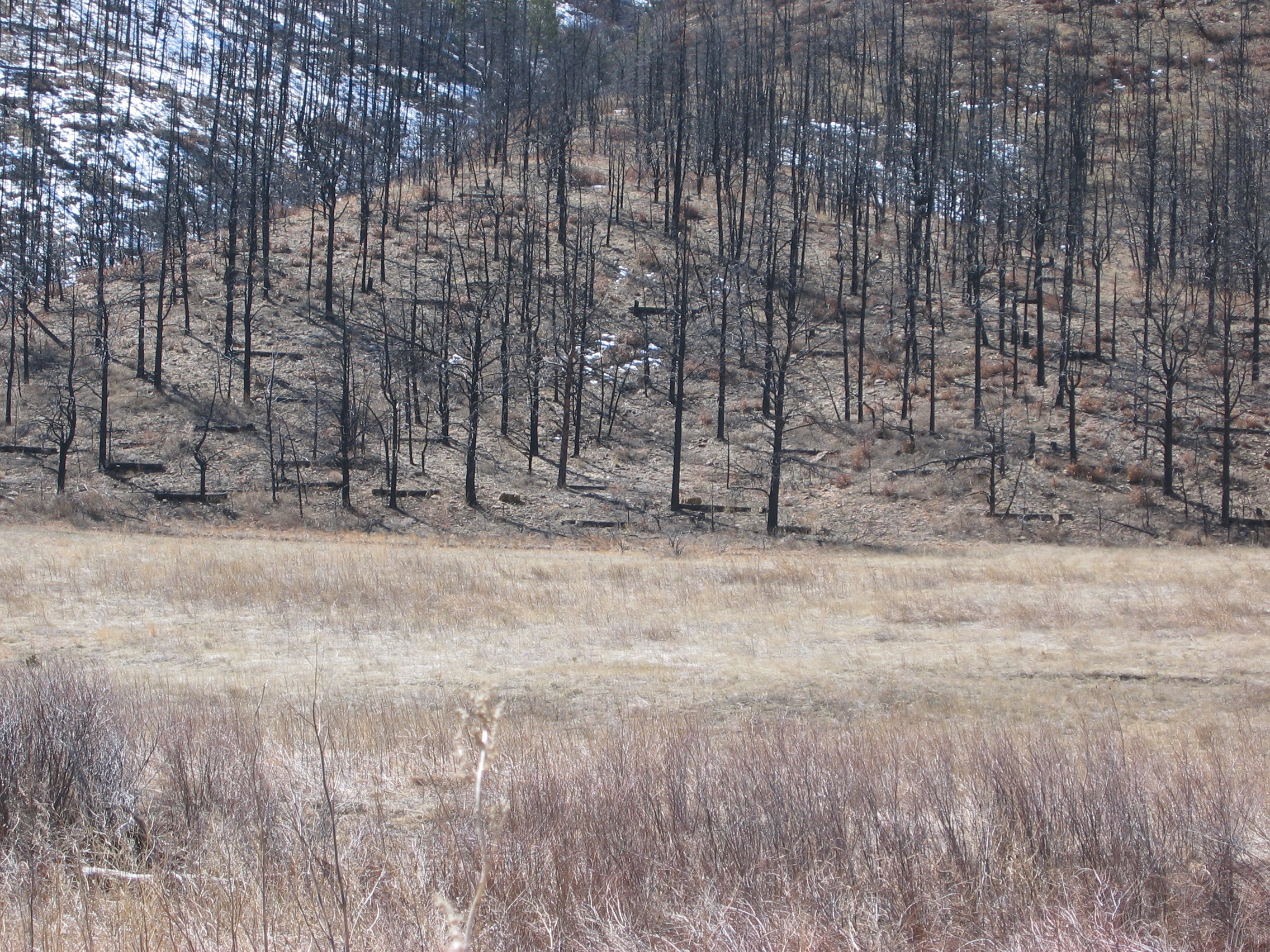 log erosion barrier 2