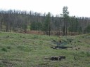 multiple post fire treatments example