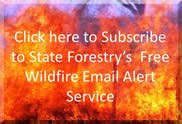 NM State Forestry Wildfire Alerts Button