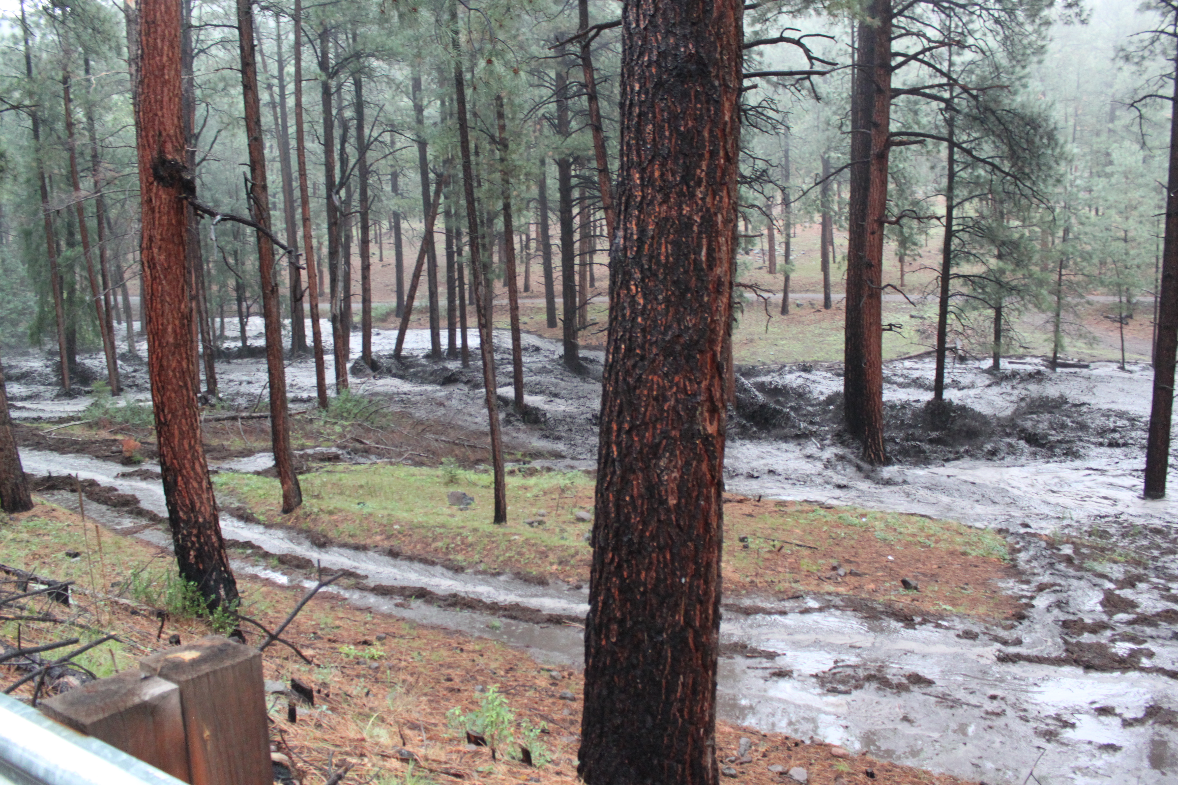 Postfire Flood Event in Santa Clara Canyon