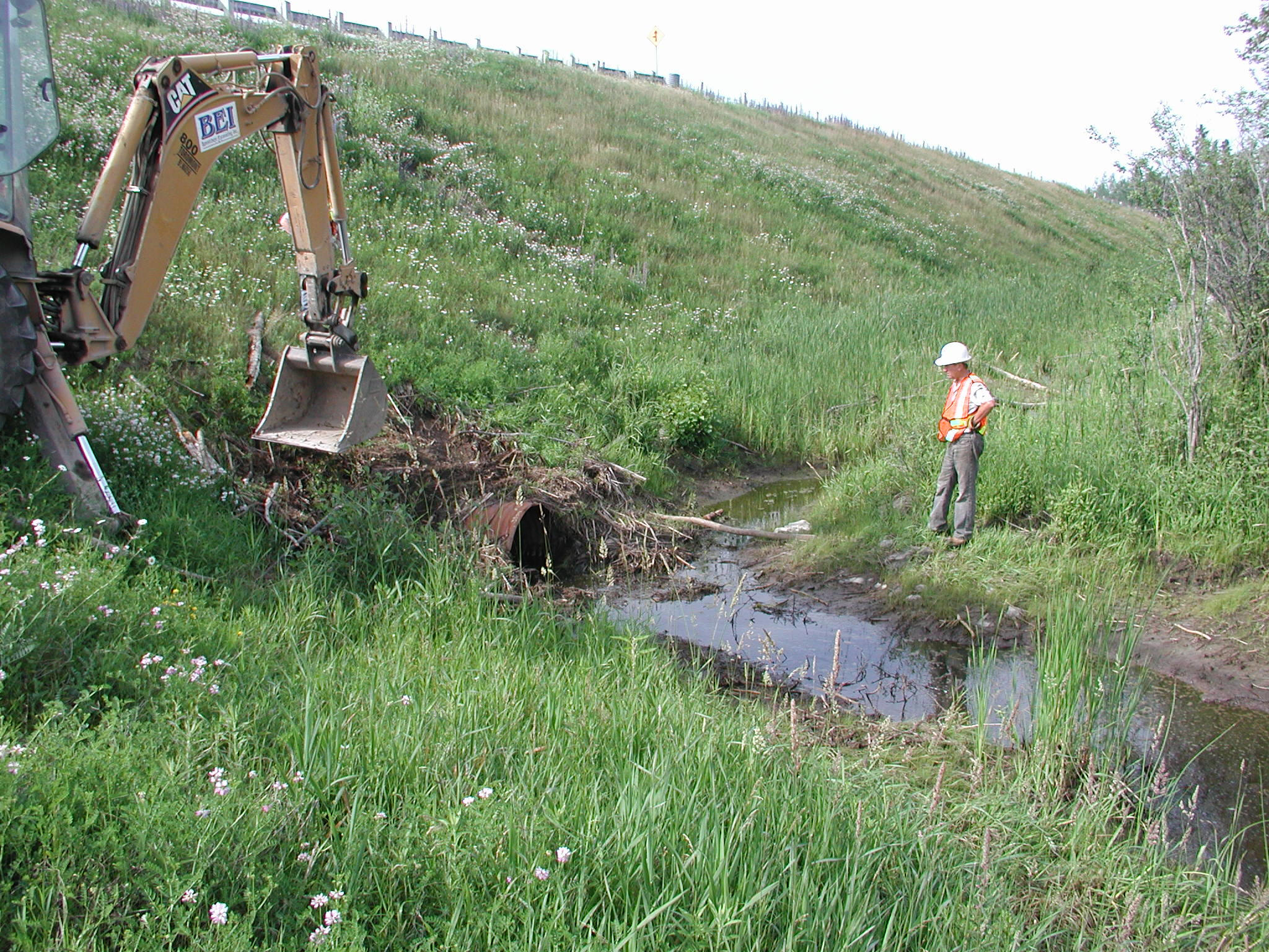 storm inspection and response