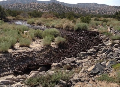 Debris Flow in Peralta Canyon, August 19, 2012