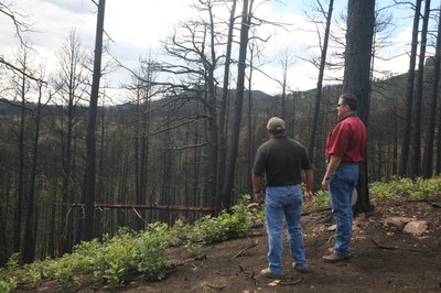 Used courtesy of NRCS. NM NRCS staff survey a burned area after the Track Fire.