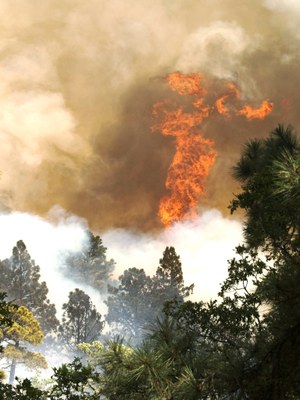 Photo of a New Mexico wildfire from above. Courtesy of New Mexico State Forestry Division.