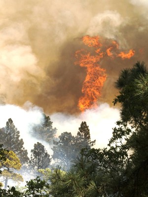 Wildfire Image