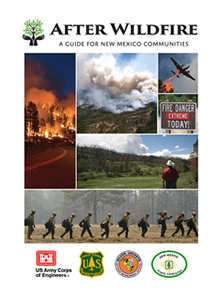 Print online version of After Wildfire Guide After Wildfire