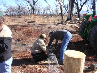 Belen Planting Day Courtesy of New Mexico State Forestry.
