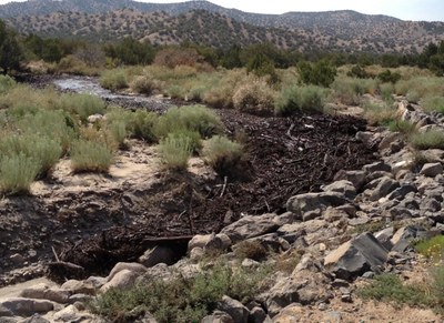 Peralta Debris Flow Debris Flow in Peralta Canyon, August 19, 2012