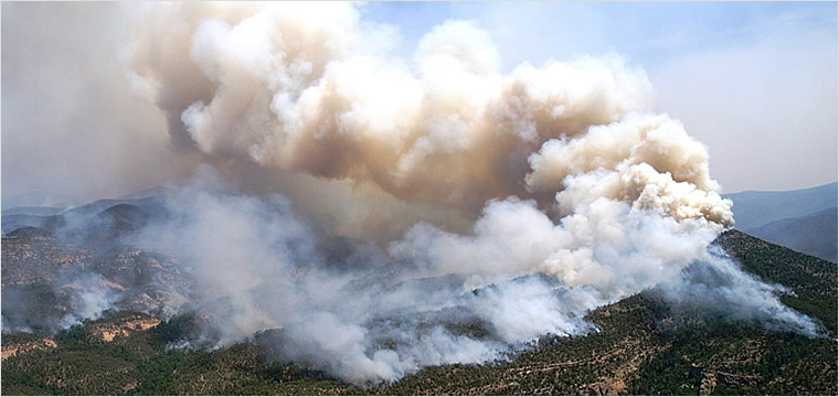 wildfire information