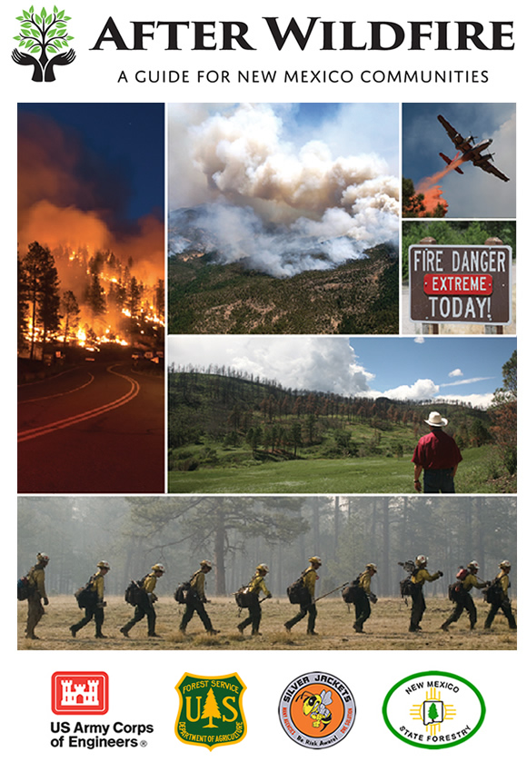 After Wildfire Guide Cover